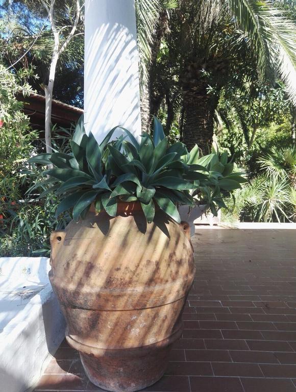 بونسا Cala Cavone Guest House المظهر الخارجي الصورة